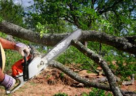 Best Commercial Tree Services  in Idalou, TX