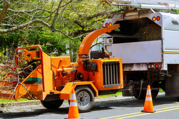 Best Arborist Consultation Services  in Idalou, TX